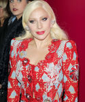 gaga_2812129.JPG