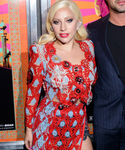 gaga_289929.jpg