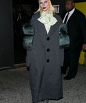 gaga_281129.jpg