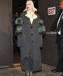 gaga_284029.jpg